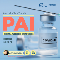 Generalidades Programa Ampliado de Inmunizaciones